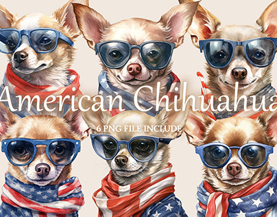A Set Of American Chihuahua