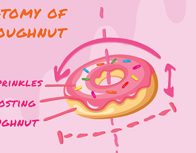 Anatomy Of A Doughnut