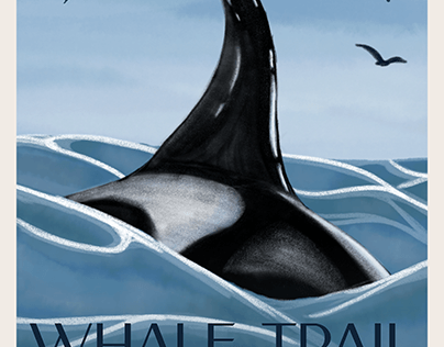 Whale Watching Poster Design
