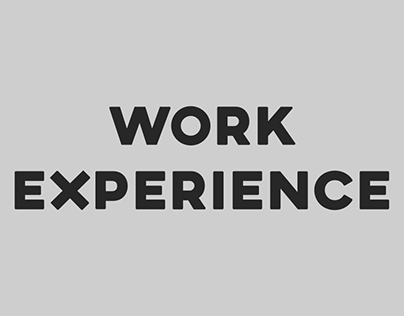 Work Experience Graphics