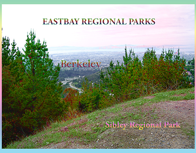 Poster: View from Sibley Park Regional Park