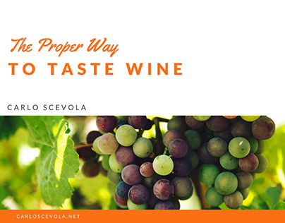 The Proper Way to Taste Wine | Carlo Scevola