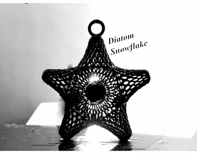 Diatom Snowflake