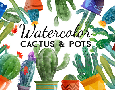 Watercolor cactus & pots