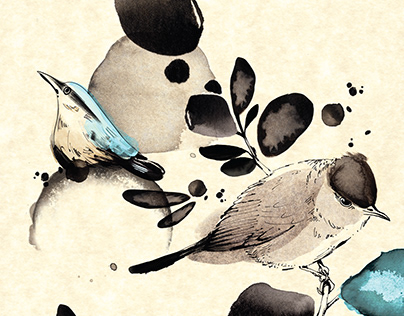 Les Oiseaux, illustration