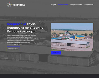 Дизайн сайта Терминал