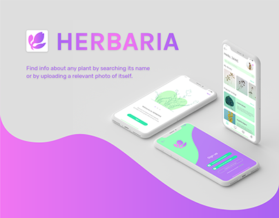 Herbaria Web-App UI/UX