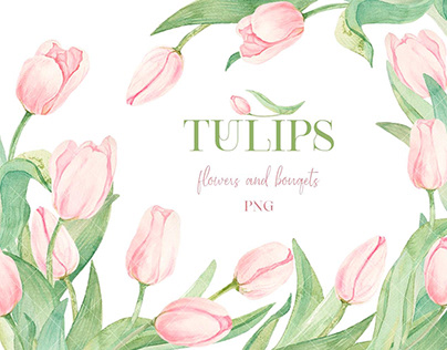 Tulips watercolor collection