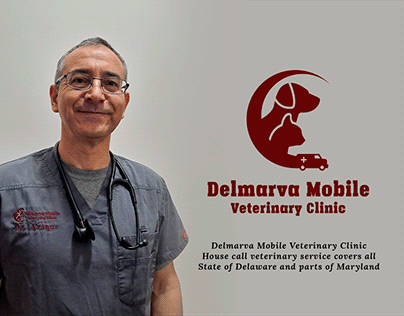 Delmarva Mobile Veterinary Clinic | Branding