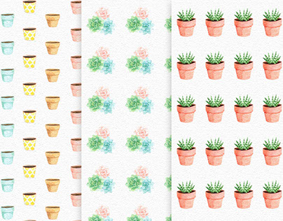 Pattern Flowerpot & Succulent