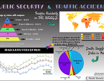 Public Security and Traffic Accidents - Nik