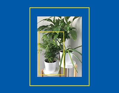 Ikeo Plant Watering App (iOS) (UI Mock Up)