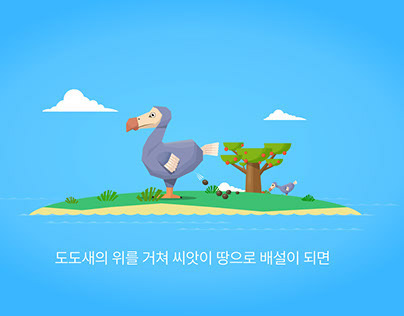 DODO Bird motion Infographic
