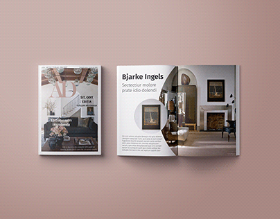 Concept Magazine Design for Architectural Digest