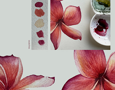 red frangipani | watercolors