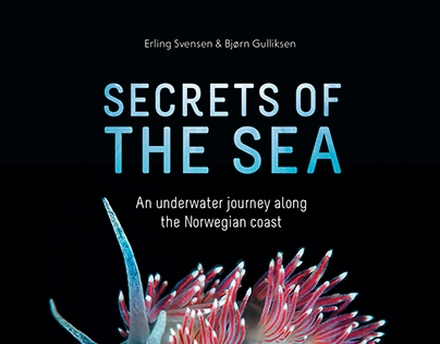 Secrets of the sea / Havets hemmeligheter