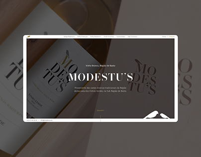 Modestu's / Store Online Website
