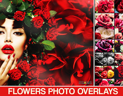 Flower overlay, Rose overlays