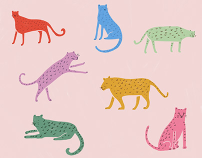 Leopard Pattern
