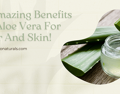 6 Amazing Benefits Of Aloe Vera For Hair And Skin!