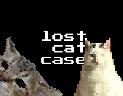lost cat case