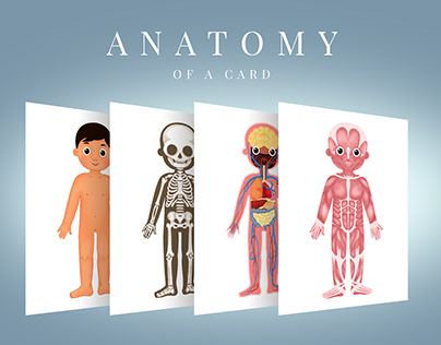 Anatomy for children. Education cards