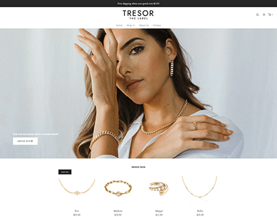 Shopify Jewelry Store Design | Shopify Expert