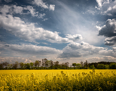 Poland | Masovian landscapes | Spring