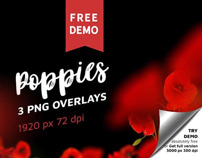 Free Poppie Flowers Photo Overlays