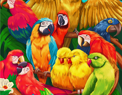 Different parrots