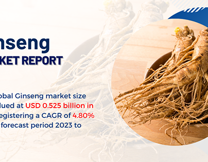 Ginseng Market Report 2024