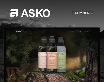 ASKO e-commerce