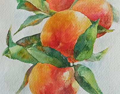 Sicilian Oranges