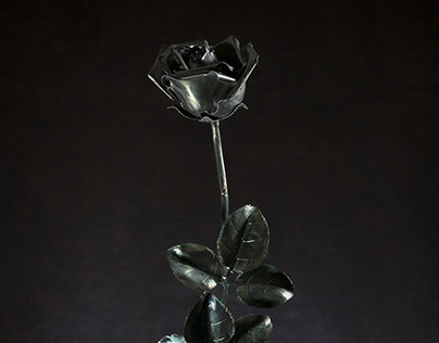 Silver flowers — Juan Carlos Pallarols