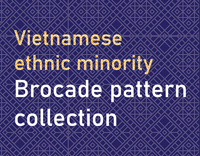 Vietnamese ethnic brocade pattern collection