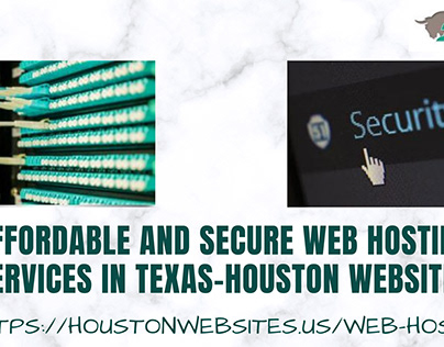 Secure web hosting services in Texas