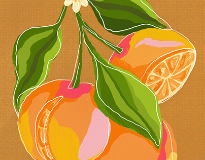 Oranges Illustraions
