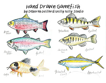 Game Fish Illustrations