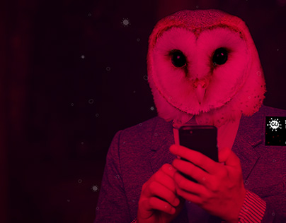 Nocturnal animals - Digital Campaign