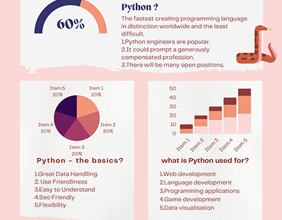 Learn the Basic Concepts of Python Language?