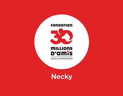 30 Millions d'Amis Challenge - Board Necky