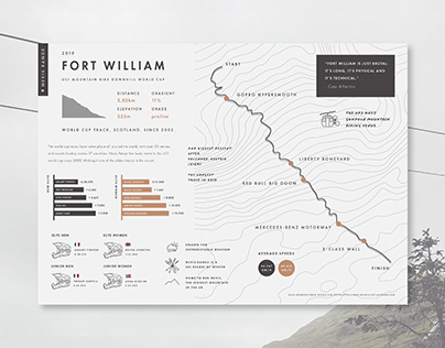 Storytelling With Data: Poster