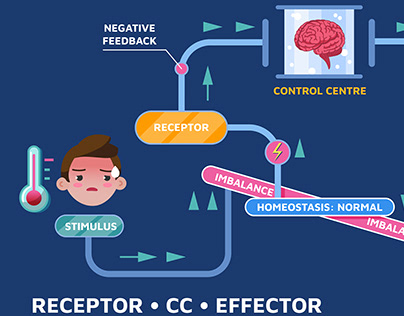 Receptor & Effector