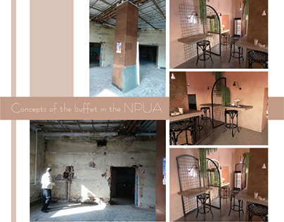 Concepts of the buffet in the NPUA