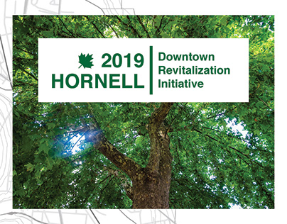 2019 Hornell DRI Grant Proposal