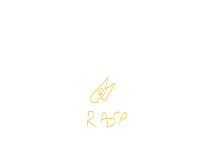 Project rasp