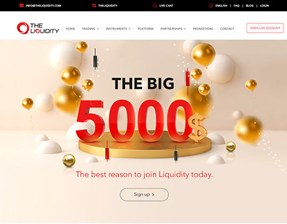 Liquidity Website Design