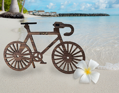 Beach Bike Cruiser