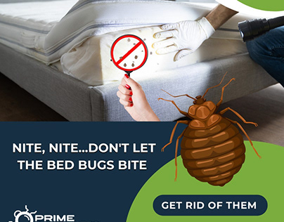 Pest Control Services for Bed Bugs Removal