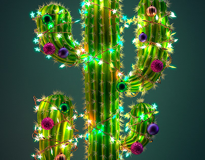 Fabulous magazine, The Sun on Sunday 'Christmas Cactus'